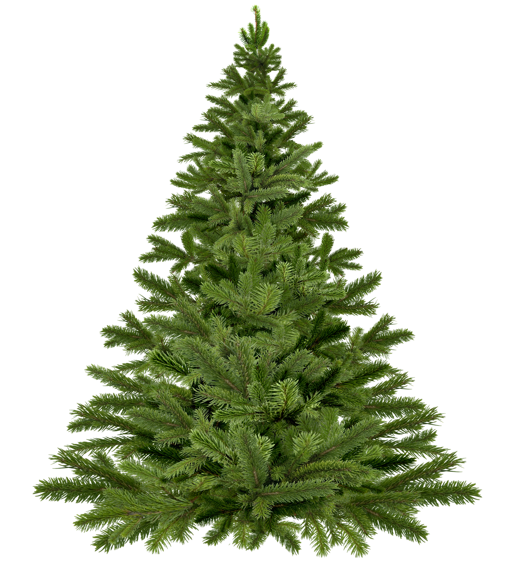 christmas-tree-g934a2e0be_1920.png