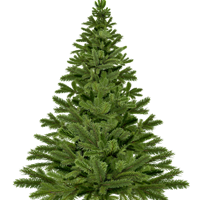 christmas-tree-g934a2e0be_1920.png